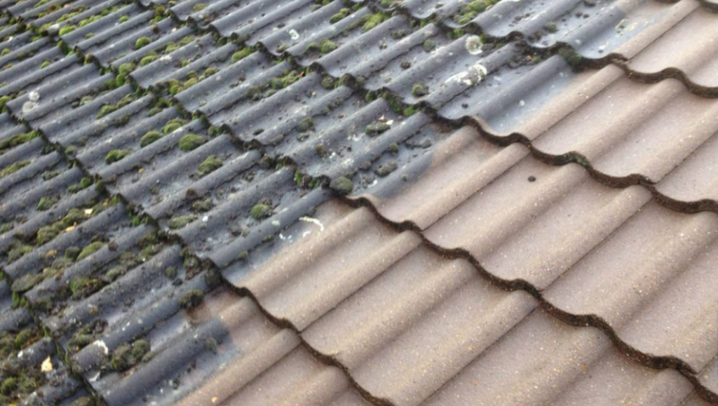 Elevate Your Home's Look & Value With Roof Washing Services