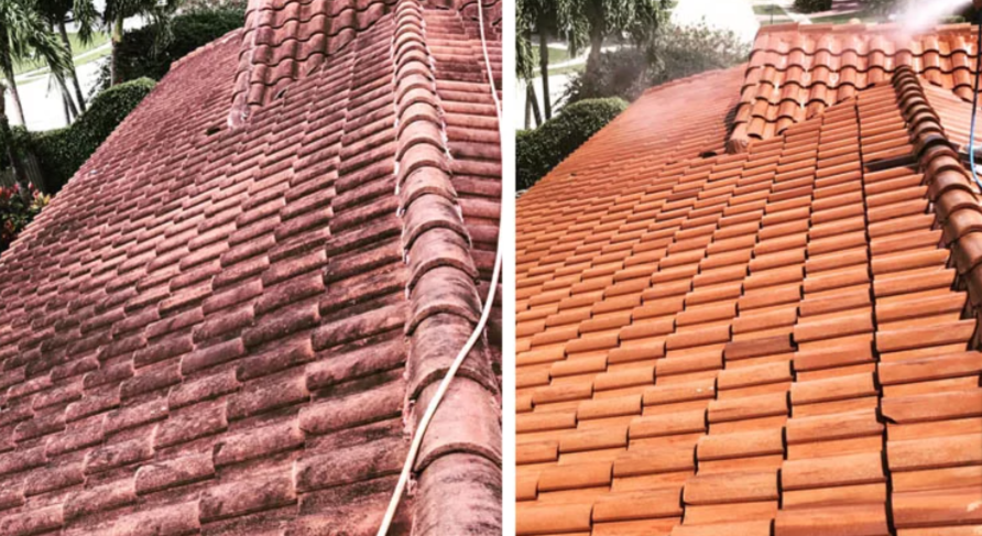 Revitalize Your Home: The Ultimate Guide To Roof Cleaning