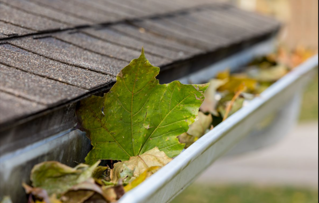 Gutter Cleaning: Tips, Tools, and Techniques For Clearing Debris