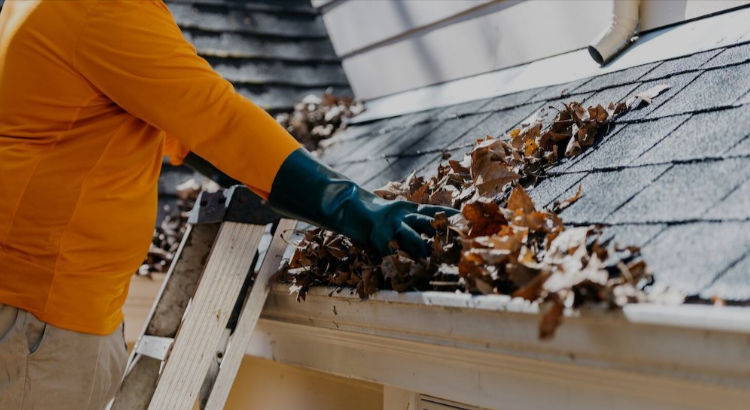 Protect Your Investment: The Ultimate Guide To Gutter Cleaning